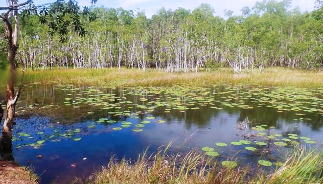 Situs Ramsar di Indonesia. (FOTO: Kompas)