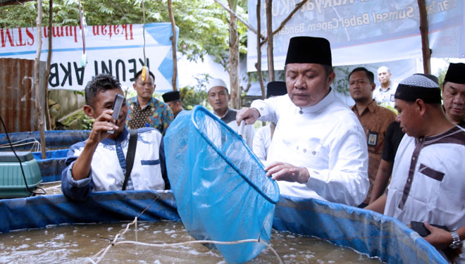Gubernur Sumsel Herman Deru saat meninjau budidaya ikan di Sukawinatan. (Foto : Istimewa)