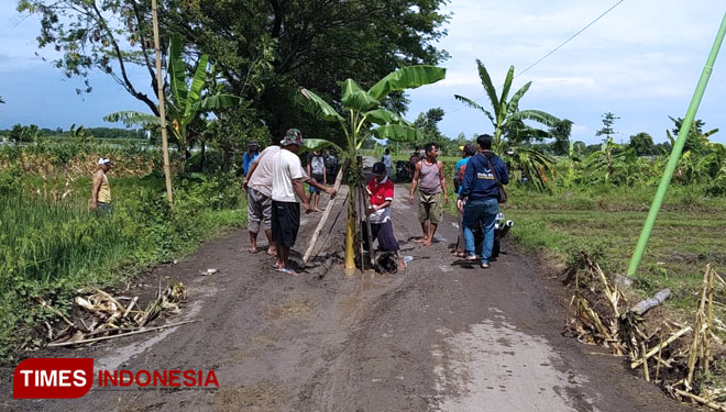 Aksi tanam pohon pisang yang dilakukan warga Ngepoh, Dringu, Probolinggo. (FOTO: Happy L. Tuansyah/TIMES Indonesia)