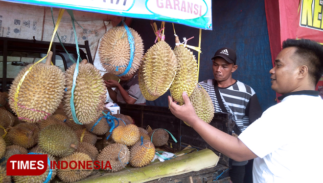 Salah satu penjual durian di Festival Mendem Duren Gresik 2019. (FOTO: Akmal/TIMES Indonesia)