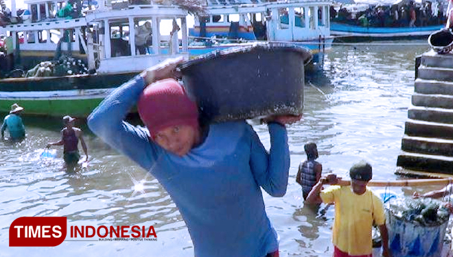 Seorang nelayan di perairan pantai utara tepatnya di Desa Sumberanyar, Kecamatan Paiton, Kabupaten Probolinggo, membawa ikan hasil tangkapannya.(FOTO: Dicko W/TIMES Indonesia)