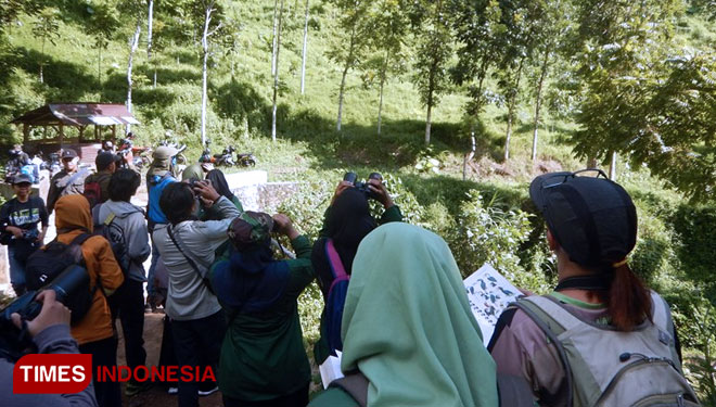 Profauna Catat Ada 23 Jenis Burung Langka Di Hutan Sumberagung