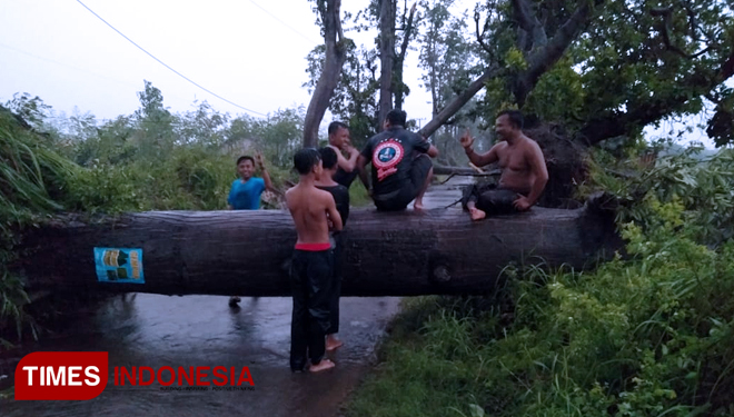 TIMES-Indonesia-Puting-Beliung-2.jpg