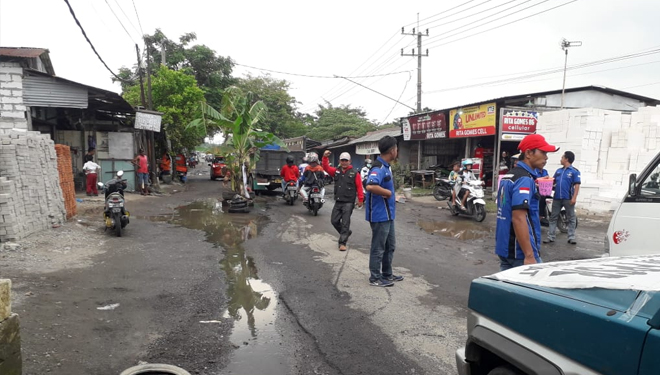 Warga di Gresik Protes Jalan Rusak dengan Tanam Pohon Pisang