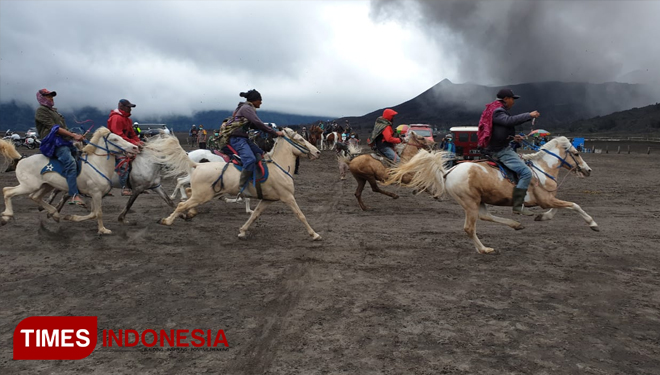  Horse Race at Bromo's Desert (PHOTO: Happy L. Tuansyah/TIMES Indonesia)