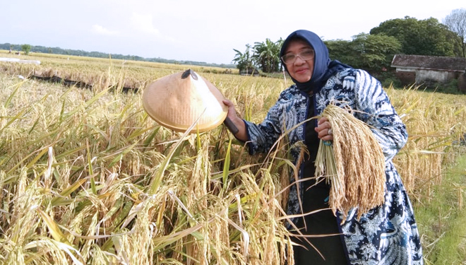 Mardiana Indraswati, calon legislatif Partai Berkarya daerah pemilihan Jawa Timur VII nomor urut satu. (FOTO: Istimewa)
