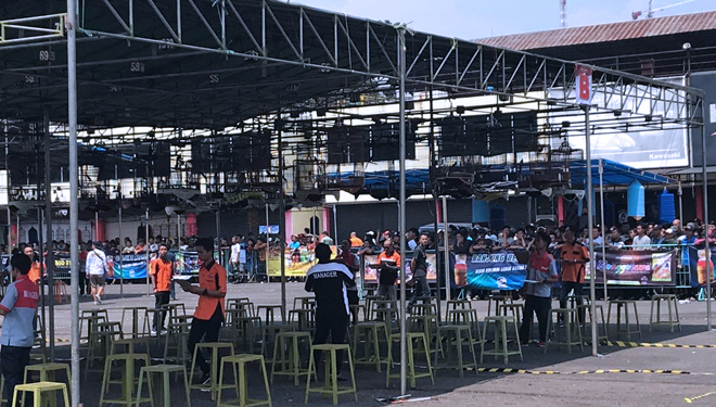 Upayakan Kelestarian Burung Pemerintah Diharapkan Gandeng Apbn