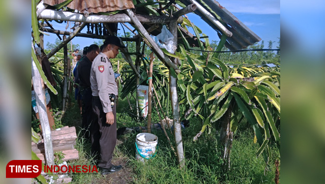 Cari Bekicot, Warga Tegaldlimo Banyuwangi Meninggal Tersengat Listrik