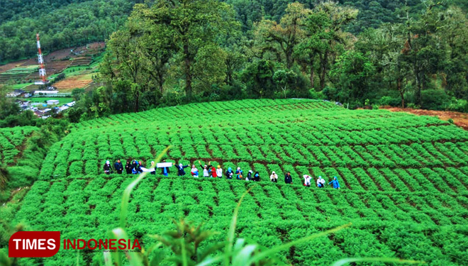 Lanscape Brakseng yang terletak di ketinggian di Kota Wisata Batu, menawarkan keindahan yang luar biasa, mata menjadi manja dan kesejukan menjadi selimut kebahagiaan. (FOTO: Yeni Rachmawati/TIMES Indonesia)