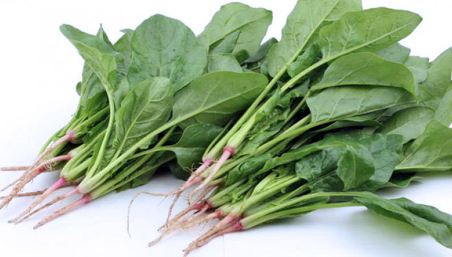 How to Cook Spinach Properly - TIMES Indonesia
