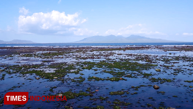 Pemandangan Wisata Pantai Cacalan, Banyuwangi. (FOTO: Roghib Mabrur/TIMES Indonesia)