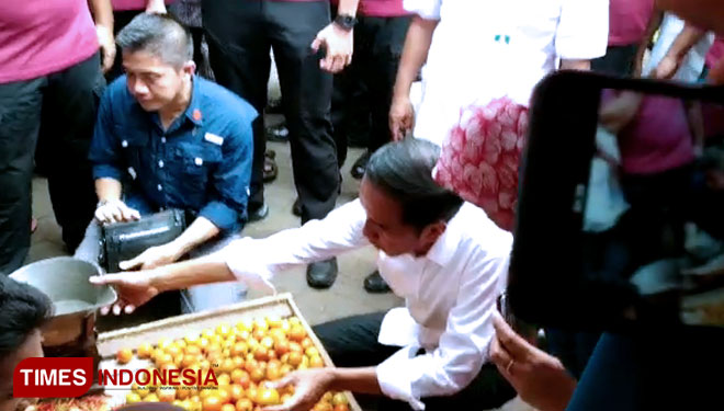 Presiden Jokowi memilih sendiri tomat yang dibeli dari pedagang pasar Wonoasih. (FOTO: Jodi for TIMES Indonesia)