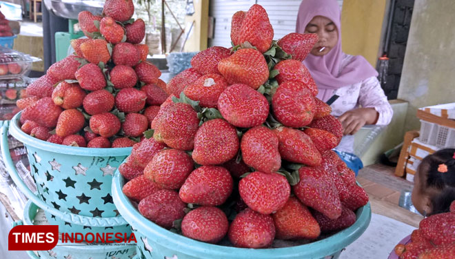Salah satu penjual di depan kebun strawberry yang berada di jalur menuju kawasan wisata Telaga Sarangan Magetan. (Foto: Aditya Candra/TIMES Indonesia)