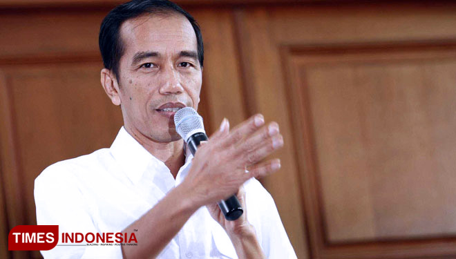 Presiden RI Jokowi. (dok/TI)