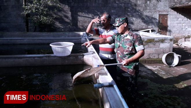 Serma Agus Indarto berikan arahan dan berikan pendampingan beternak lele bersama para petani lele. (FOTO: AJP TIMES Indonesia)