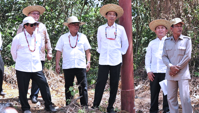 Presiden Jokowi Lanjutkan Peninjauan Lokasi Alternatif Pemindahan Ibu Kota