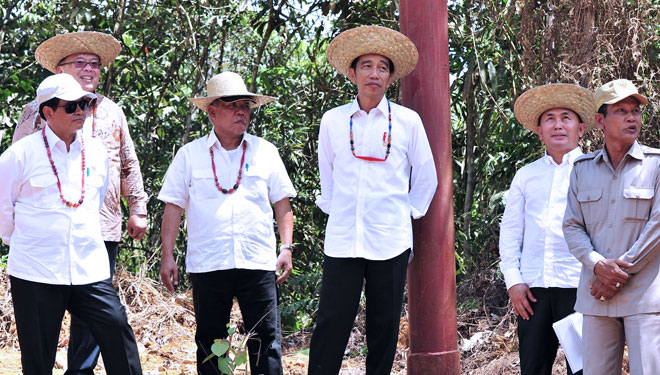 Jokowi: Gunung Mas Paling Siap Jadi Calon Pengganti Ibu 