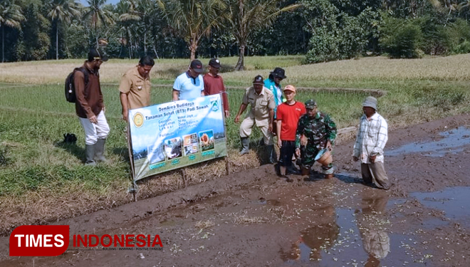 Uji tanah oleh tim dari PPL Kec. jabung di dampingi Babinsa Desa Sidorejo Jabung. (FOTO: AJP/TIMES Indonesia)