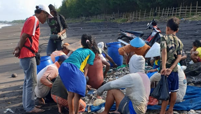 Nelayan Banyuwangi Panen Sampah di Pantai Cemara