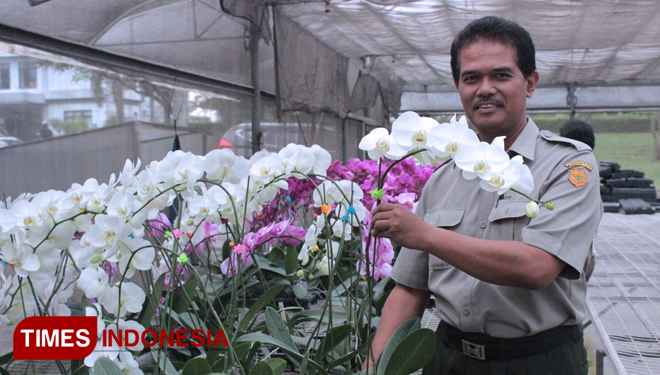Direktur Jenderal Hortikultura Kementerian Pertanian (Kementan), Suwandi. (FOTO: Rusman For TIMES Indonesia)