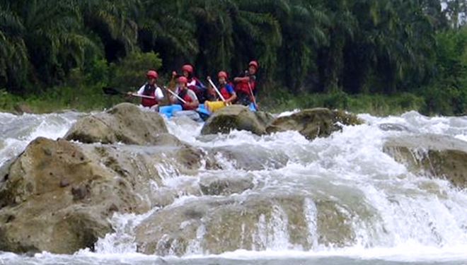 Arung-Jeram-tigerbear.jpg