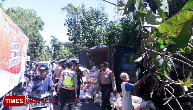 Truk Gandeng Terguling Jalan Raya Banyuwangi Jember Truk Gandeng Terguling Jalan Raya Banyuwangi Jember