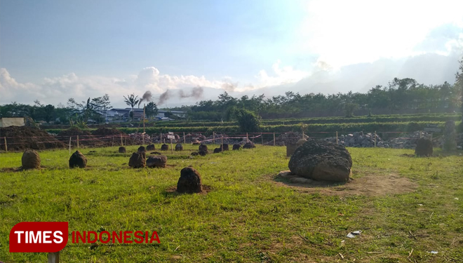 Puluhan Situs Megalitikum di Kecamatan Grujugan Bondowoso berada di lahan terbuka (FOTO: Moh Bahri/TIMES Indonesia).