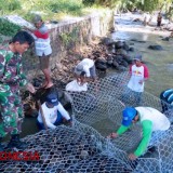 Babinsa Gugut Kodim 0824 Jember Bantu Petani Benahi DAM Tapen yang Jebol