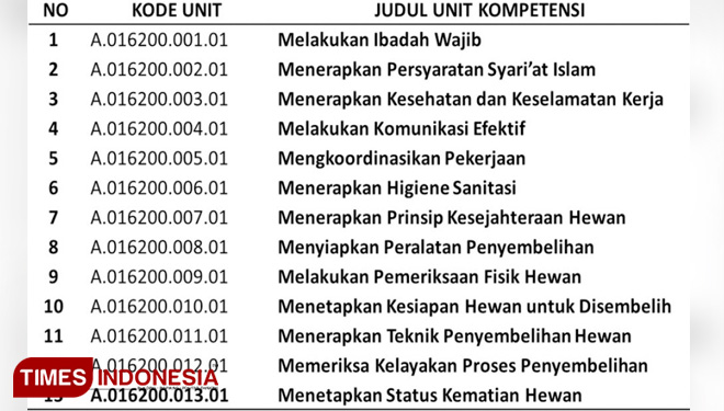 BBPP-Batu3.jpg