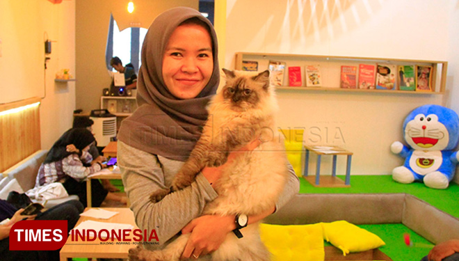 ILUSTRASI - Pecinta Kucing Neko Kepo Cat Kafe 2, Kota Malang. (FOTO: Tria Adha/TIMES Indonesia)