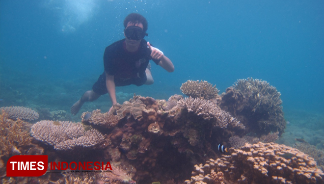 Peneliti dari PUI PT MRCPP Univeristas Ma Chung saat melakukan riset dan hasil penemuan karotenoid, senyawa yang bisa melindungi terumbu karang. (FOTO:for TIMES Indonesia) 