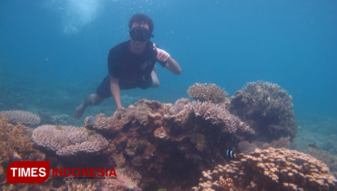 The researcher of PUI PT MRCPP Ma Chung examining how the carotenoid works on reef. (Picture by:for TIMES Indonesia)