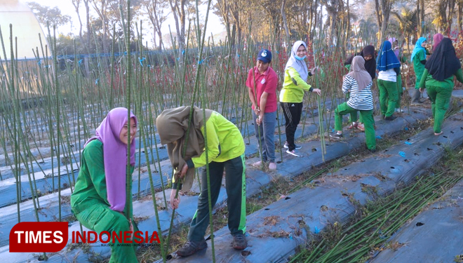 Mahasiswa Prodi Penyuluhan Pertanian Berkelanjutan Polbangtan Malang melakukan praktik lapang bagian dari pembelajaran Tefa. (FOTO: Polbangtan Malang for TIMES Indonesia)