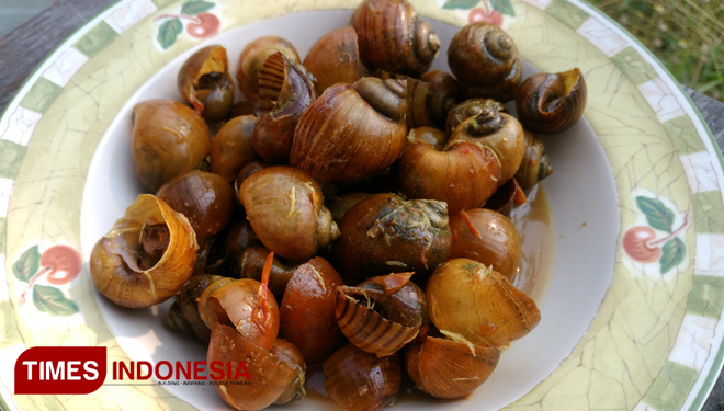 Kreco/Keong mas bumbu kuah rempah (FOTO: Muh Rofi'i/TIMES Indonesia)