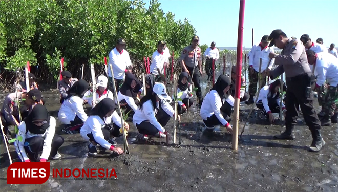 Mangroves plantations at the Bahak Beach, Tongas, Probolinggo. (Picture by: Happy/TIMES Indonesia)