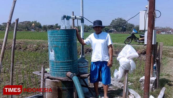 Sugimin, salah satu petani yang memanfaatkan sumur sibel untuk irigasi sawahnya. (FOTO: Mukhtarul Hafidh/TIMES Indonesia)