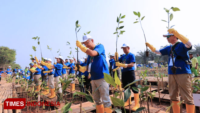 Pemprov DKI bersama seluruh lapisan masyarakat dan AEON Environmental Foundation menanam pohon mangrove di Kawasan Elang Laut, Pantai Indah Kapuk, Jakarta, Senin (15/7/2019). (Foto : Istimewa)