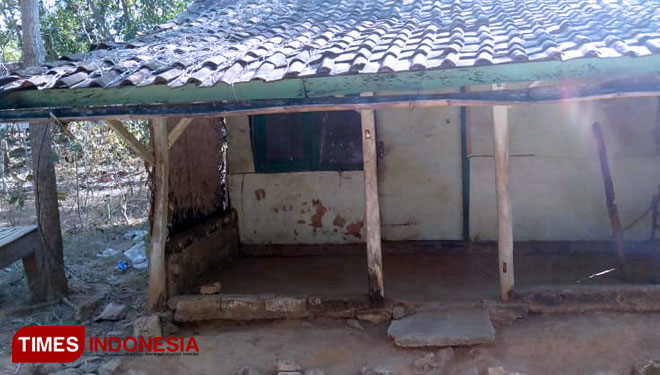 nenek-amur-b.jpg