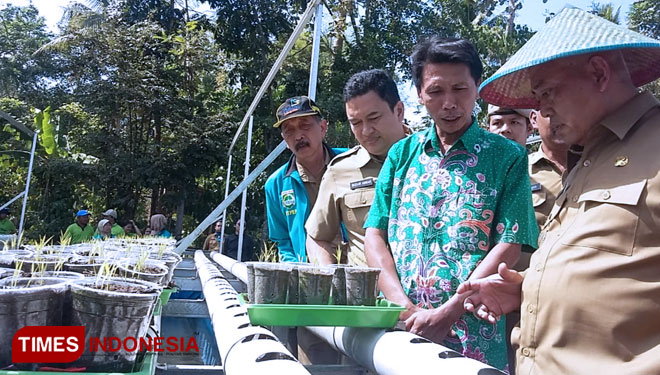 Plt Bupati Malang, Drs HM Sanusi MM saat meninjau pertanian Hidroganik Bengkel Mimpi. (Foto : Binar Gumilang/TIMES Indonesia)