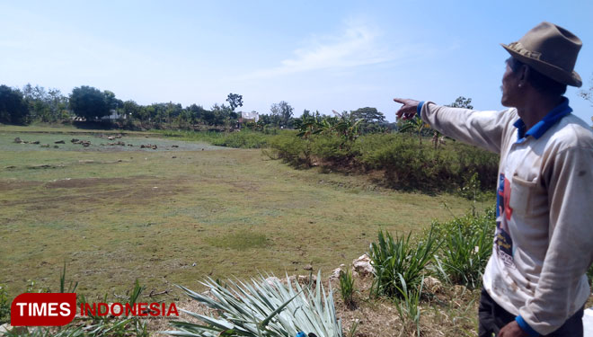 Salah seorang petani menunjukkan waduk yang kering (Foto: Akmal/TIMES Indonesia)