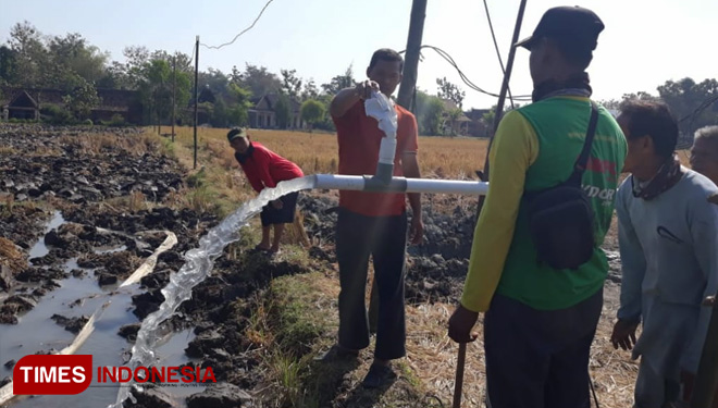 Hepi petani Desa Karangbanyu, Widodaren, Ngawi menunjukkan air bercampur gas di areal persawahan. (FOTO: Ardian Febri Tri H/TIMES Indonesia)