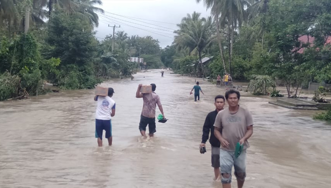 Kondisi banjir di wilayah Kabupaten Banggai, Sulawesi Tengah. (Foto: BPBD Sulteng)