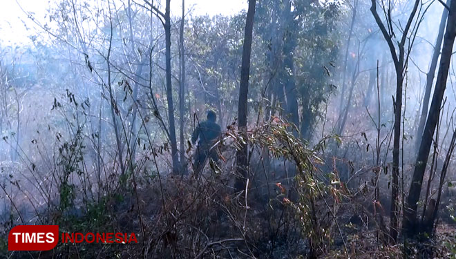Kebakaran di hutan Gunung Bentar, Probolinggo. (FOTO: Happy/TIMES Indonesia)