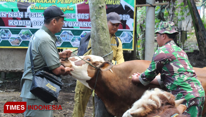 Penyuluhan Hewan Ternak oleh Dinas Peternakan Pemprov Jatim bersama Satgas TMMD 105 Banyuwangi. (FOTO: Agung Sedana/ TIMES Indonesia)