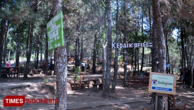 warga kedaung kediri menghindari hutan pinus