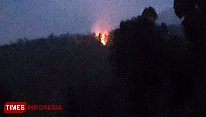 Hutan yang terbakar diatas Goa Jepang di Desa Tlekung, Kecamatan Junrejo. (foto: Muhammad Dhani Rahman/TIMES Indonesia)