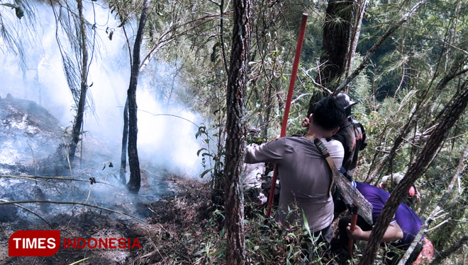 Petugas saat melakukan pemadaman api di Gunung Panderman sisi Timur. (Foto: istimewa/TIMES Indonesia)