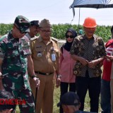 Atasi Kekeringan, Tim Geolistrik Undip Diturunkan di Lokasi TMMD Kodim Tegal