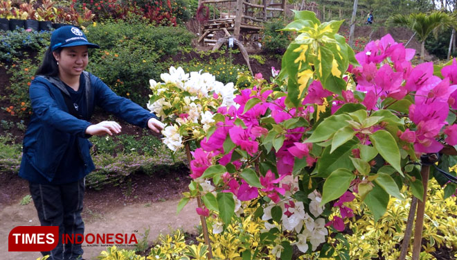 Taman-Bunga-Umbul-Giripurno-a.jpg