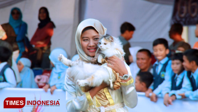 Pets-Carnival-a.jpg